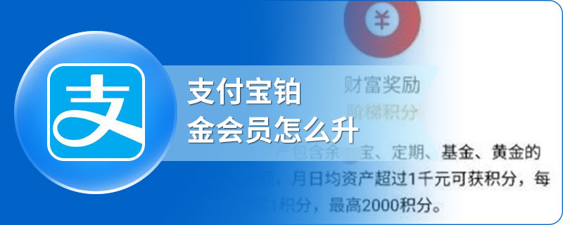 支付宝铂金会员怎么升