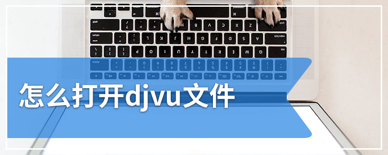 怎么打开djvu文件
