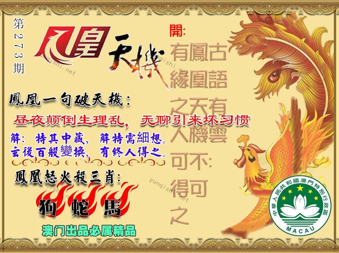 澳门跑狗网如何投注？