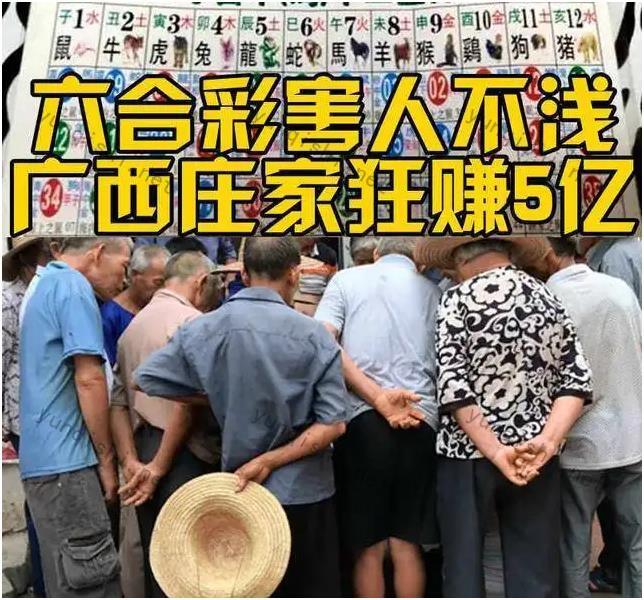 澳门123开奖资料期资料如何利用？