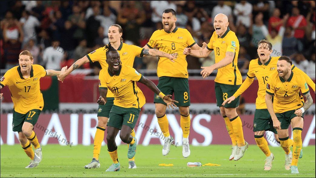 澳大利亚国家队在世界杯小组中的D组（实力分析）