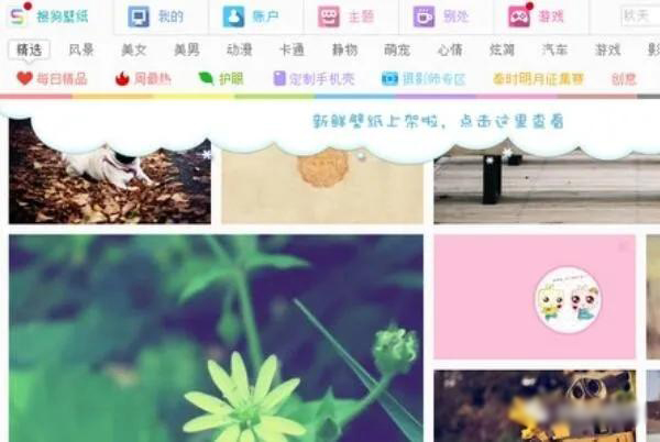 壁纸软件下载排行榜免费 免费壁纸软件排行榜前十名(2)