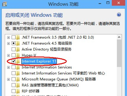 win8停用IE浏览器 win8.1系统怎么禁用IE浏览器(2)