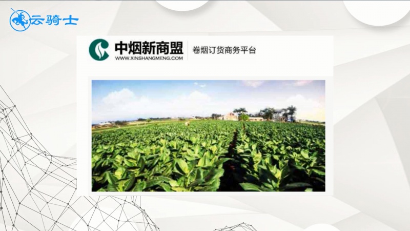 新商盟订烟订单无法提交怎么办
