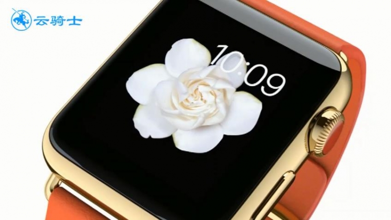 苹果手表有什么功能(1)