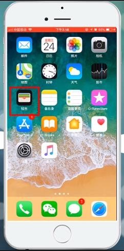 apple pay怎么用(2)
