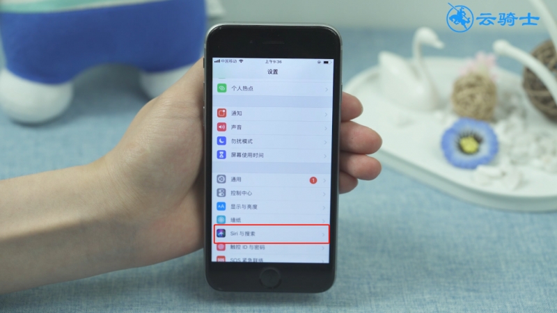 为什么siri没声音(6)