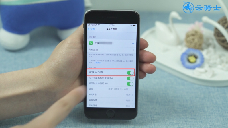 为什么siri没声音(7)