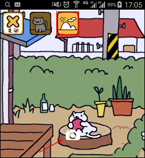 猫咪后院(3)