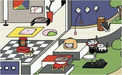 猫咪后院怎么摆玩具(1)
