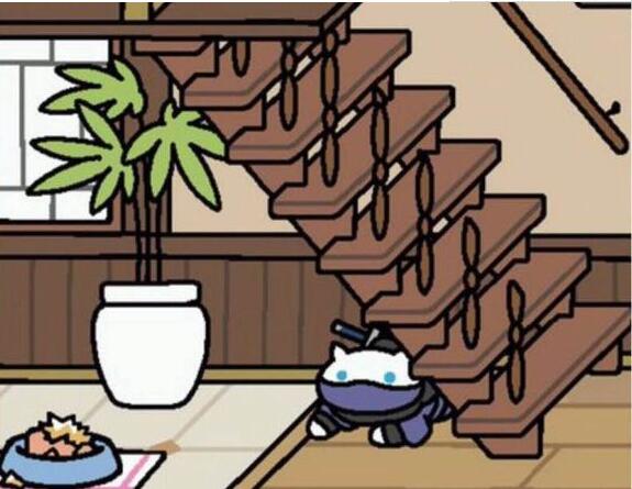 猫咪后院如何获取忍者猫(1)