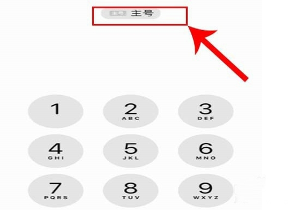 iphone11pro max双卡双待怎么设置(3)
