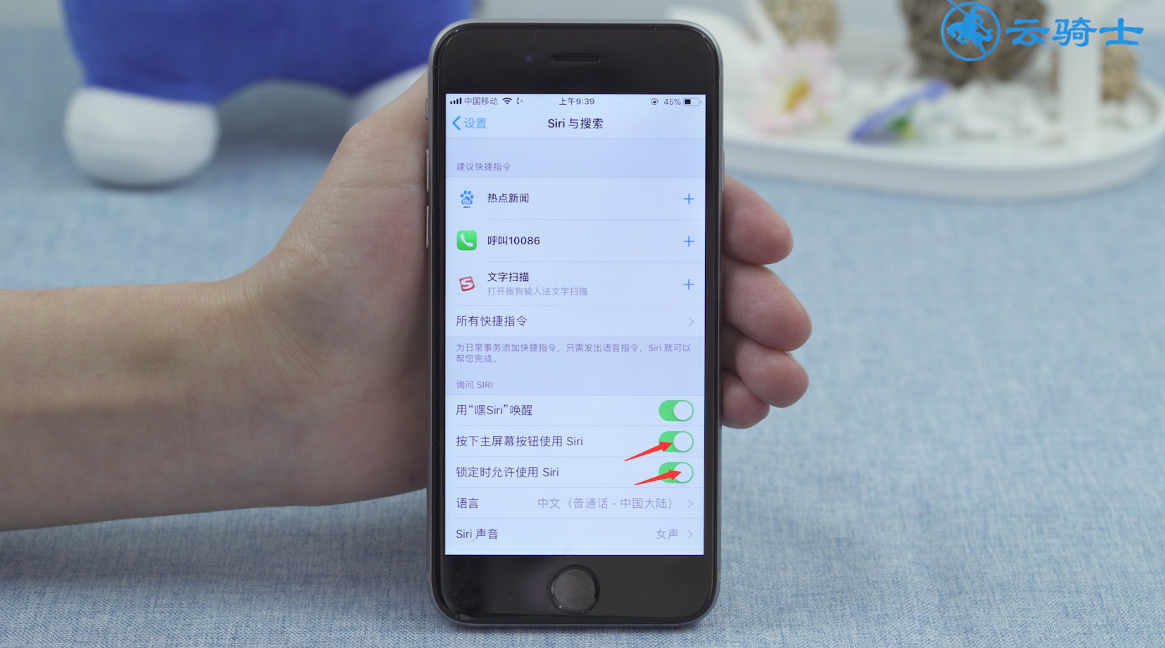 苹果手机语音唤醒功能在哪里(10)