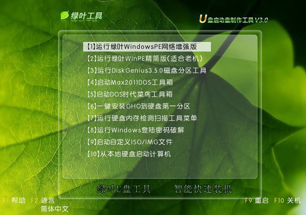 绿叶u盘启动盘制作工具v3.5.1(2)