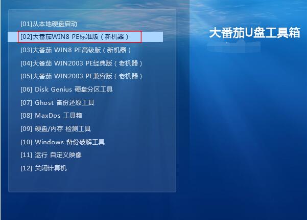 大番茄u盘装win7系统教程(1)