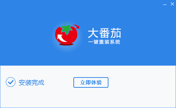 大番茄一键重装系统win10版(3)
