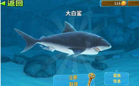 饥饿鲨进化安卓版(2)