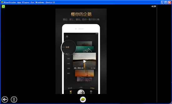 企鹅fm v1.5绿色版(3)