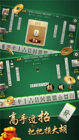 微乐辽宁麻将(1)