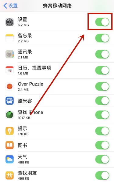 iphone蜂窝数据打开了没用(8)