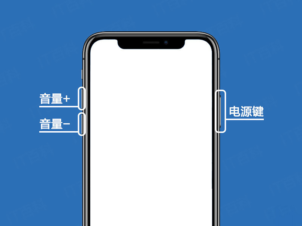 xr怎么关机(2)