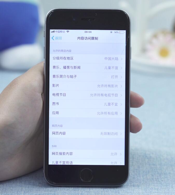 苹果访问限制在哪(5)