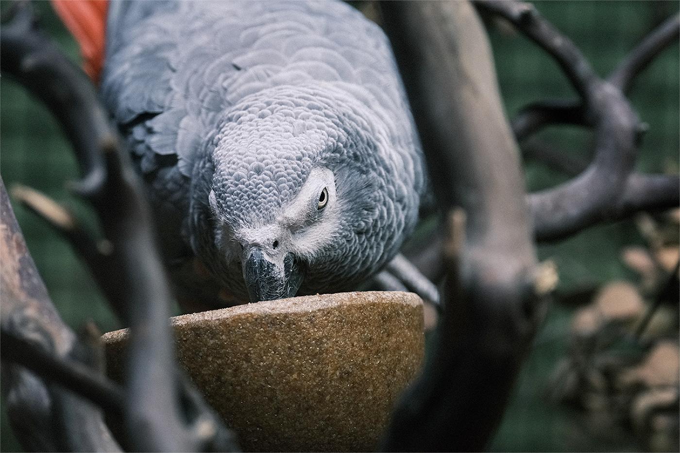Fujifilm X-T4相机评测(3)