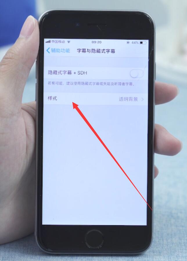 iphone字体风格怎么改(4)