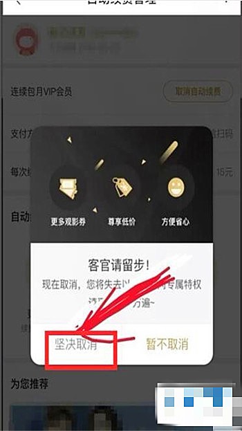土豆视频app下载(3)