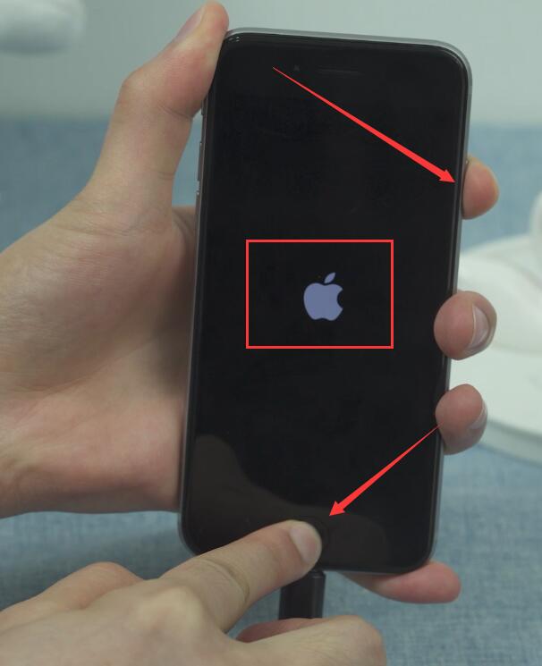 iphone7开机循环白苹果(3)