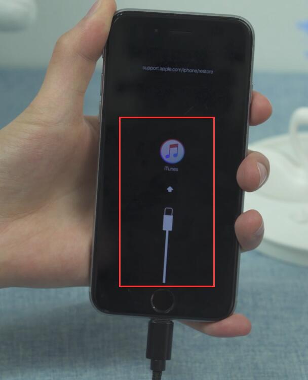 iphone7开机循环白苹果(5)