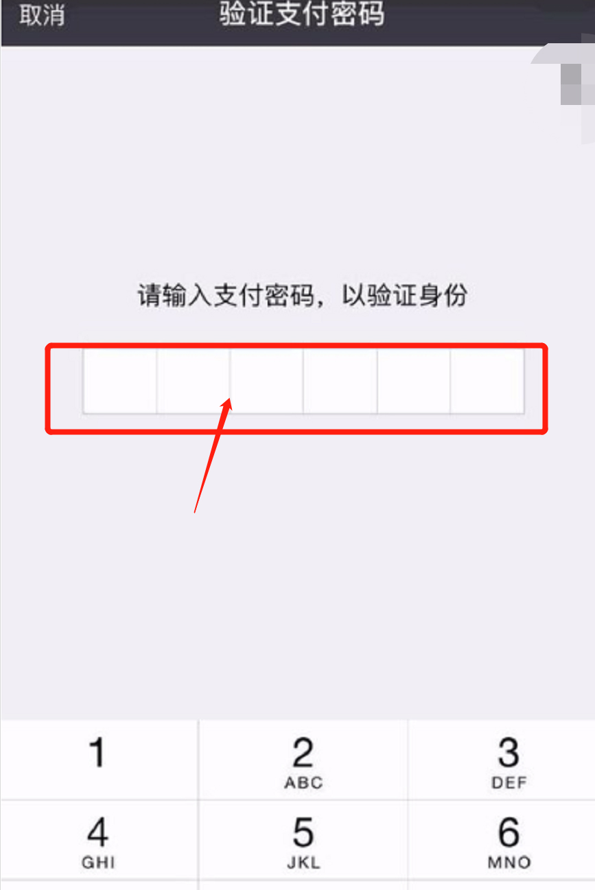 苹果怎么用微信充抖币(11)