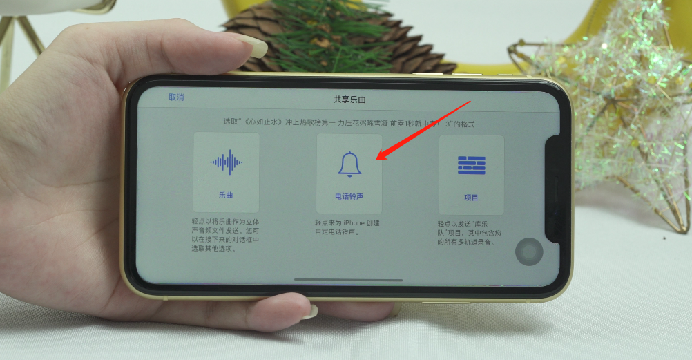 iphone换铃声不用电脑(4)