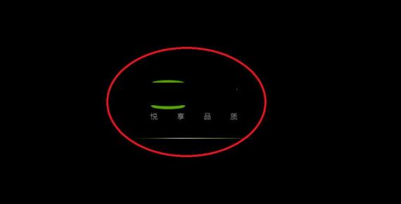 网页不能播放视频怎么办