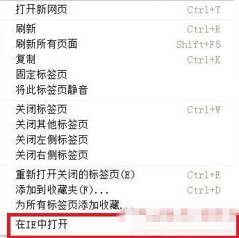 网页不能播放视频怎么办(3)