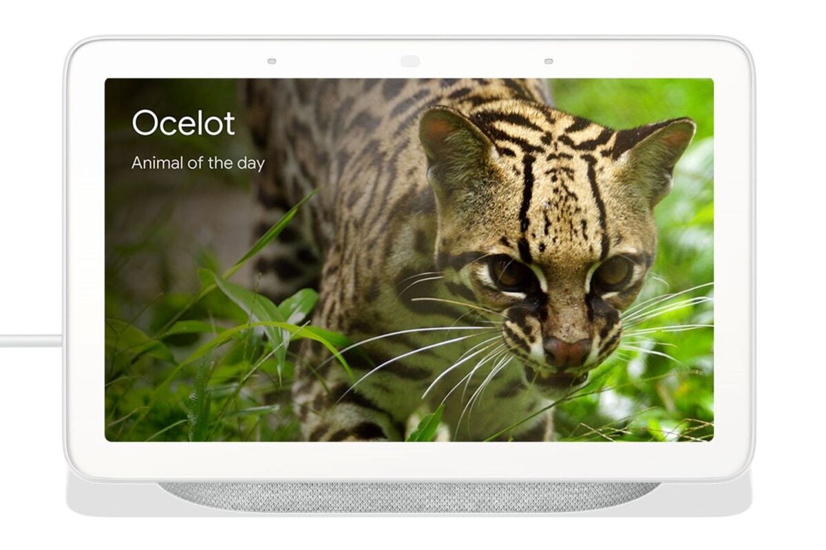 Google Assistant的新Family Bell功能为无尽的夏日增添了结构(2)