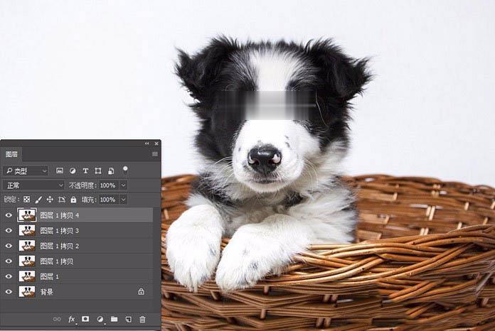 photoshop快速制作黑白版画效果的个性狗狗图片教程(6)