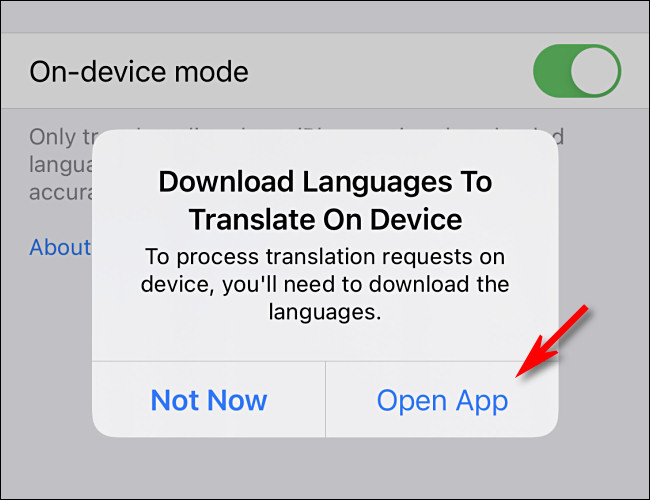 如何在iPhone上的Apple的Translate App中启用离线翻译(4)