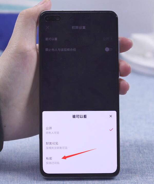 抖音怎么不让别人看我的作品(5)