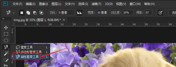 ps如何让背景模糊(2)