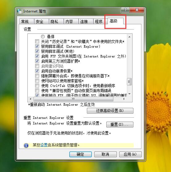 浏览器显示无法加载插件怎么办