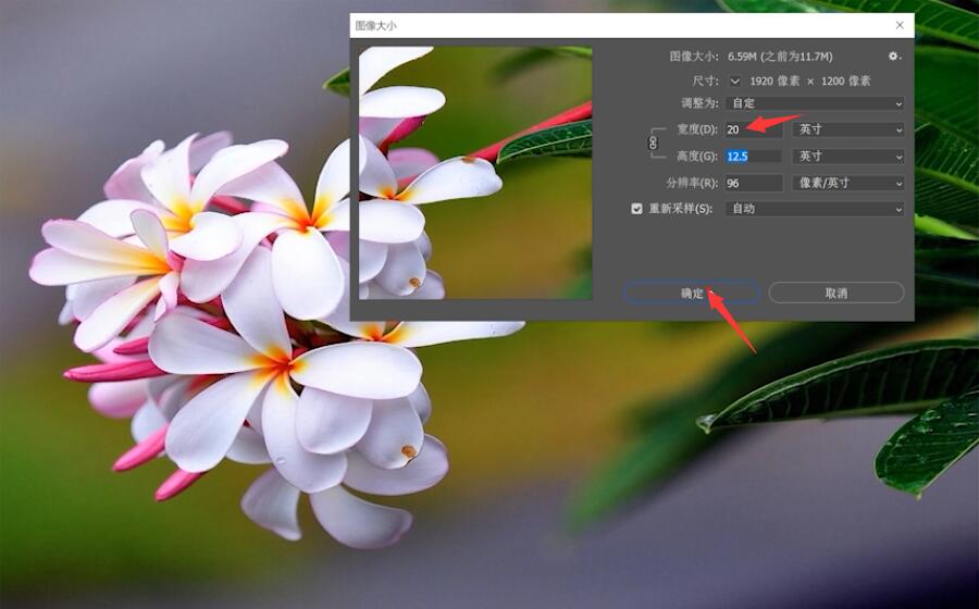 ps软件怎么缩小图片(5)