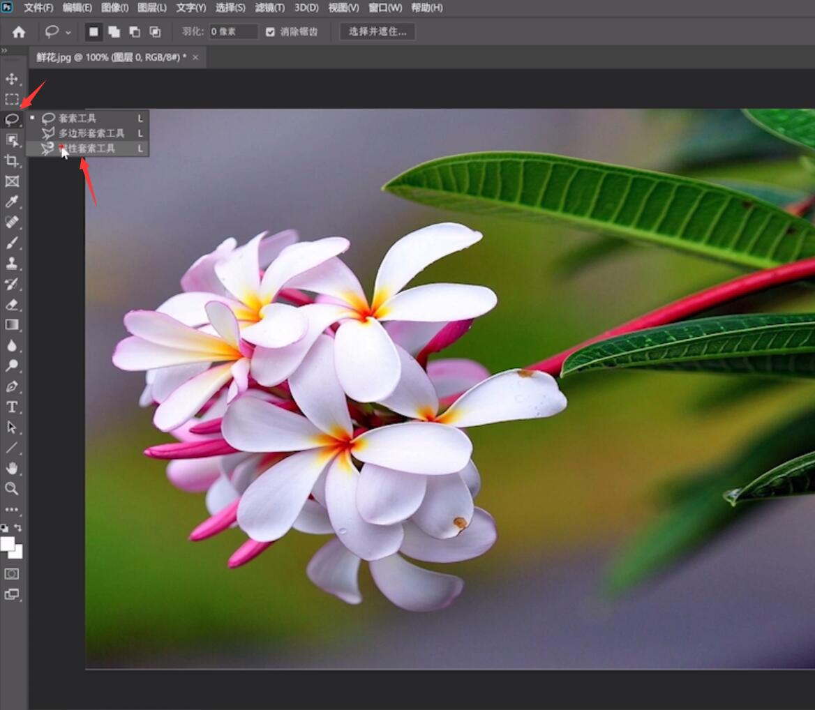 ps cs6怎么抠图(3)