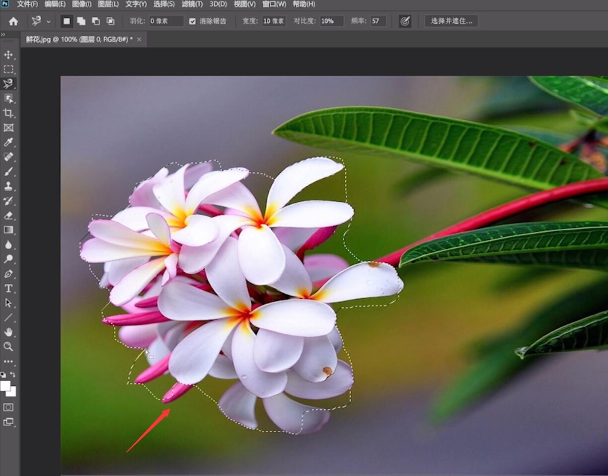 ps cs6怎么抠图(4)