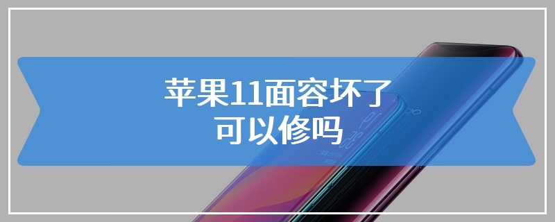 苹果11面容坏了可以修吗