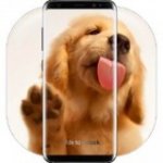狗狗舔屏手机动态壁纸v2.0