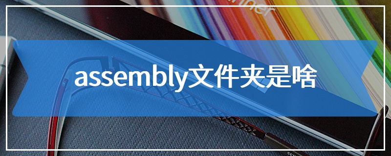 assembly文件夹是啥