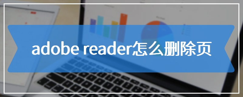 adobe reader怎么删除页
