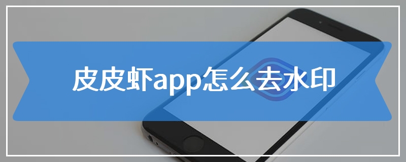 皮皮虾app怎么去水印