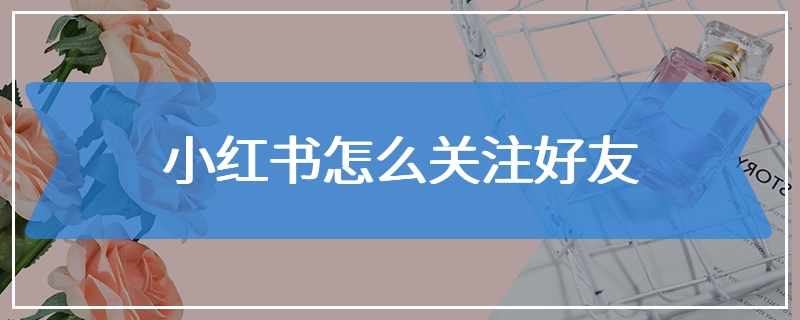小红书怎么关注好友